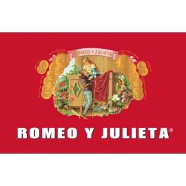 Romeo Y Julieta (10)
